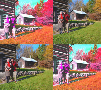 rural living warhol